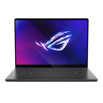 Revizie laptop