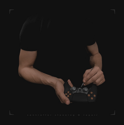 Revizie console