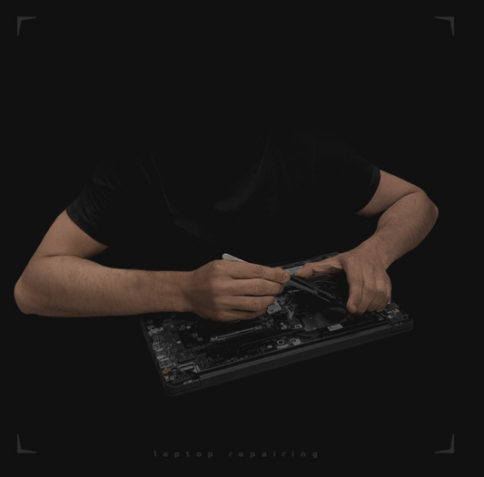 Revizie laptop