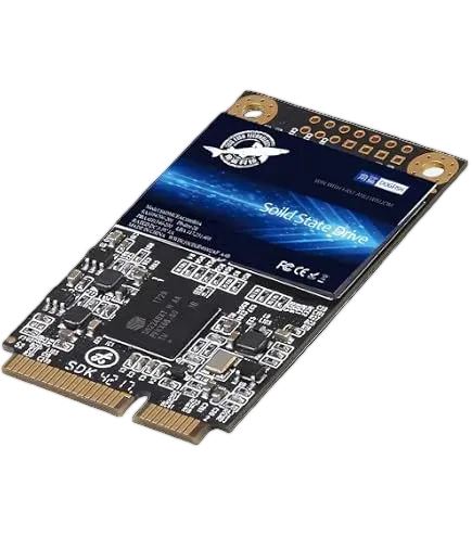 Dogfish SSD mSATA 64GB SATA III