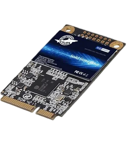 Dogfish SSD mSATA 64GB SATA III